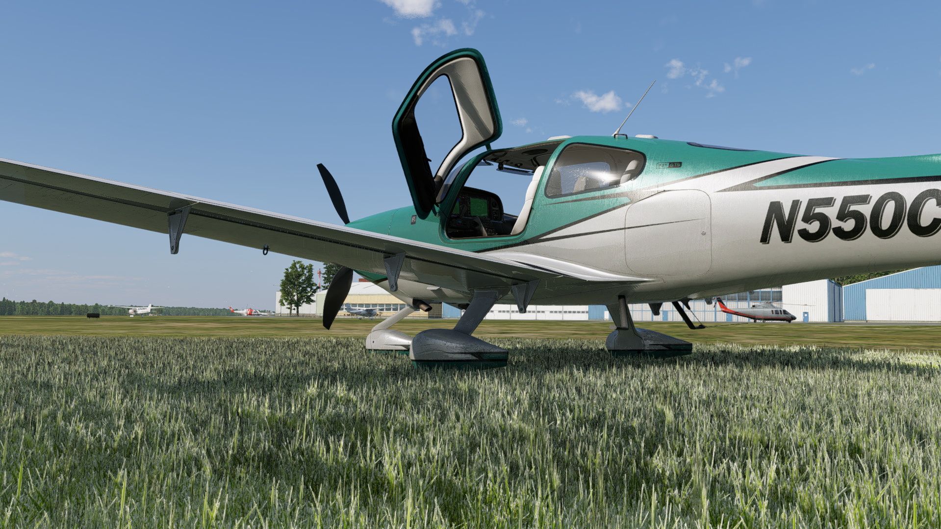 3Dgrass close-up around a parked aircraft