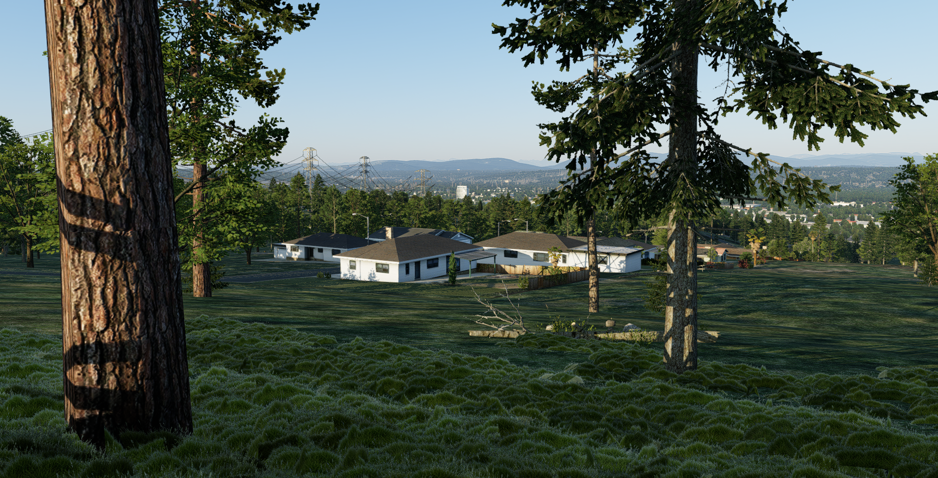 3Dgrass coverage in a forest-edge residential environment