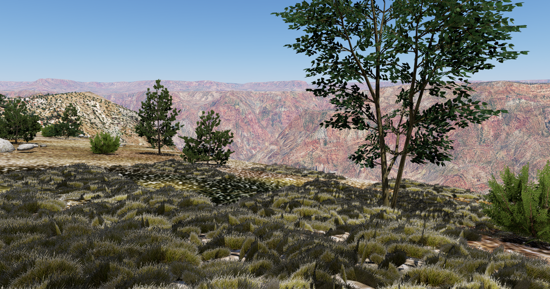 Regional scrub and sparse vegetation in a canyon environment