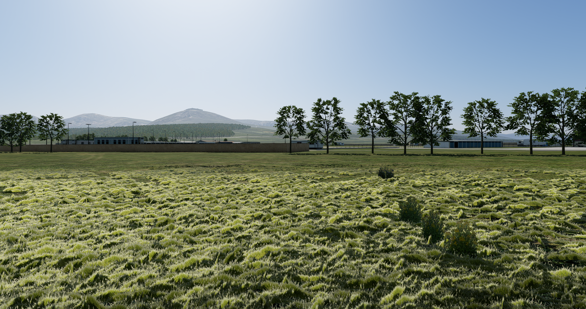 Wide field with 3Dgrass coverage