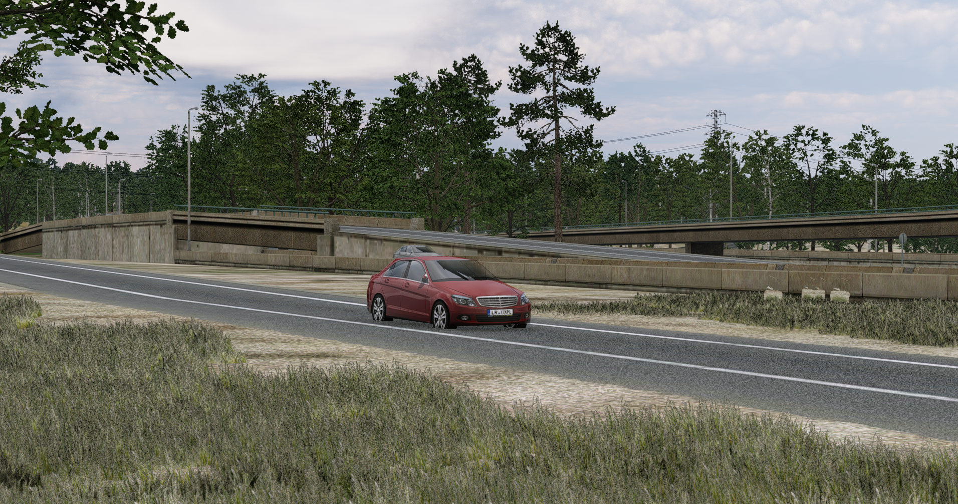 Roadside scene showing 3Dgrass exclusion support around roads